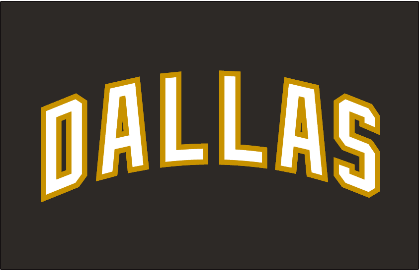 Dallas Stars 2007-2013 Jersey Logo fabric transfer